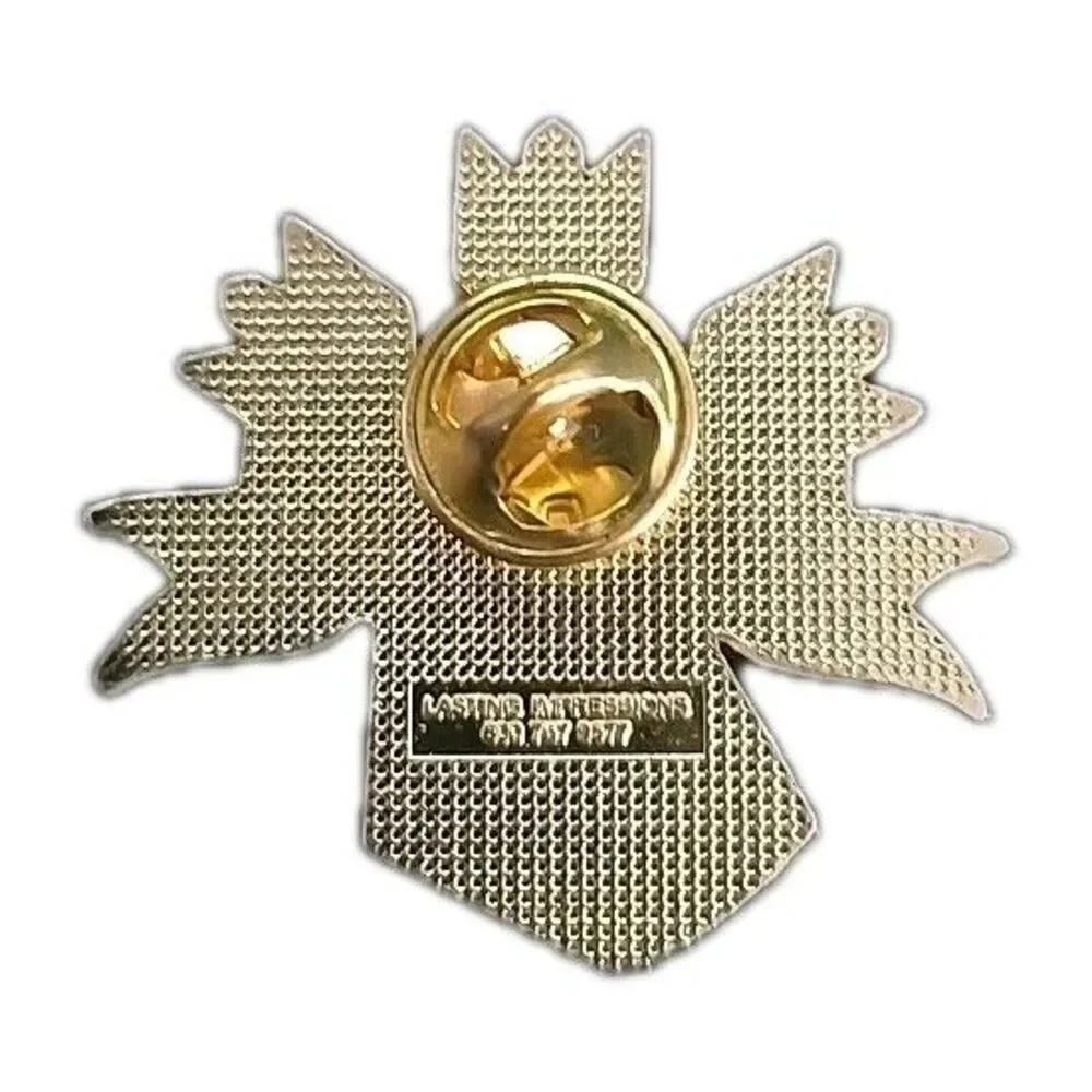 US SKI Team All Out 2009 Lapel Pin Winter Snow Sports USA